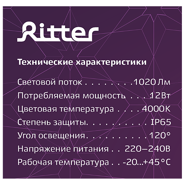 Настенный светильник Ritter 56025 8